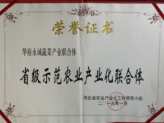 蔬菜示範聯合體